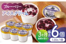 【3回定期便】ブルーベリーアイスクリーム 6個セット 【すみれファーム】 [ZEP033]