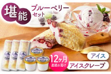 【12回定期便】堪能！ブルーベリーアイスとアイスクレープセット 6個（各3個） 【すみれファーム】 [ZEP042]