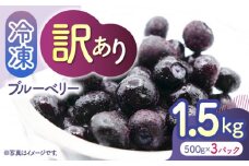 【先行予約】【訳あり】 冷凍ブルーベリー 小粒 約1.5kg（約500g×3pc） 【すみれファーム】 [ZEP046]