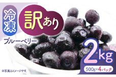 【先行予約】【訳あり】 冷凍ブルーベリー 小粒 約2kg（約500g×4pc） 【すみれファーム】 [ZEP047]