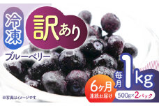 【先行予約】【6回定期便】【訳あり】 冷凍ブルーベリー 小粒 約1kg（約500g×2pc） 【すみれファーム】 [ZEP051]