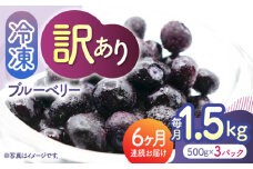 【先行予約】【6回定期便】【訳あり】 冷凍ブルーベリー 小粒 約1.5kg（約500g×3pc） 【すみれファーム】 [ZEP052]