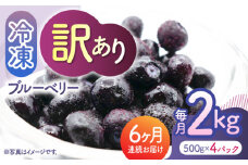 【先行予約】【6回定期便】【訳あり】 冷凍ブルーベリー 小粒 約2kg（約500g×4pc） 【すみれファーム】 [ZEP053]
