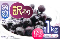 【先行予約】【12回定期便】【訳あり】 冷凍ブルーベリー 小粒 約1kg（約500g×2pc） 【すみれファーム】 [ZEP054]