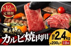 【12回定期便】九州産 藤彩牛 バラ カルビ 焼肉用 1650 [ZDT083]
