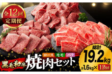 【12回定期便】九州産 藤彩牛 焼肉 セット 3604 [ZDT087]