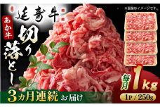 【3回定期便】熊本県産 延寿牛 あか牛 切り落とし 約 250g×4P 牛肉 切り落とし 小分け 国産 和牛 ブランド牛 小分け 冷凍 肉 牛こま こま肉 肉じゃが 炒め物 野菜炒め 使い方色々 ヘルシー 九州産 熊本産 山鹿市 送料無料 定期便【有限会社 九州食肉産業】 [ZDQ101]