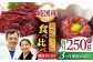 純国産 馬刺し 赤身 ユッケ 桜納豆 食べ比べ セット 馬肉 桜肉 ヘルシー 専用タレ 小分け おろし生姜 冷凍 ギフト 山鹿市