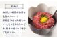 純国産 馬刺し 赤身 ユッケ 桜納豆 食べ比べ セット 馬肉 桜肉 ヘルシー 専用タレ 小分け おろし生姜 冷凍 ギフト 山鹿市
