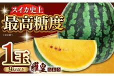 【数量限定】【先行予約】スイカ 羅皇 1玉（9kg以上）果物 フルーツ 【JA熊本山鹿青果】 [ZET001]