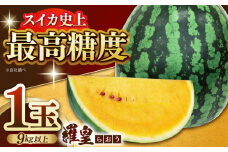 【先行予約】スイカ 羅皇 1玉（9kg以上）果物 フルーツ 【JA熊本山鹿青果】 [ZET001]