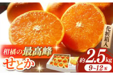 【先行予約】【数量限定】せとか みかん 約2.5kg 果物 化粧箱入り フルーツ ギフト【小春農園】 [ZBN002]