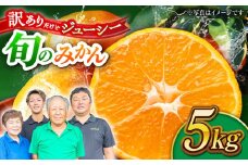 【先行予約】【数量限定】【訳あり】家庭用 みかん 約5kg 詰め合わせ 柑橘【合同会社 社方園】 [ZBZ021]