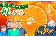 【先行予約】【数量限定】【3回定期便】みかん 約3kg 詰め合わせ 柑橘【合同会社 社方園】 [ZBZ022]