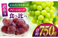 【数量限定】【訳あり】食べ比べセット 約750ｇ（シャインマスカット 1房 & クイーンニーナ 切り落とし 約300g）【合同会社 社方園】 [ZBZ024]
