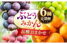 【数量限定】【6回定期便】品種おまかせ みかん・ぶどう 定期便【合同会社 社方園】 [ZBZ025]