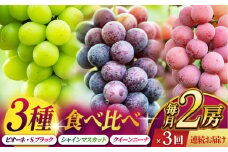 【数量限定】【3回定期便】ぶどうの宝石 3色 定期便 約400g×2房【合同会社 社方園】 [ZBZ026]