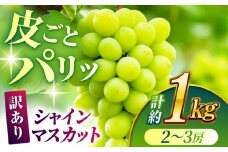 【訳あり】シャインマスカット 約1kg(2～3房)【合同会社 社方園】ぶどう マスカット ますかっと しゃいんますかっと 果物 フルーツ 訳あり 季節限定 山鹿市産 熊本県産  [ZBZ028]