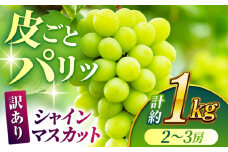 【訳あり】シャインマスカット 約1kg(2～3房)【合同会社 社方園】ぶどう マスカット ますかっと しゃいんますかっと 果物 フルーツ 訳あり 季節限定 山鹿市産 熊本県産  [ZBZ028]