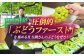 山鹿市の美味しい水を使ってフルーツを育てています。