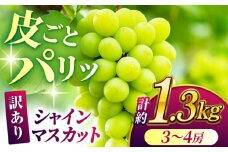 【数量限定】【訳あり】シャインマスカット 約1.3kg(3～4房)【合同会社 社方園】 [ZBZ029]