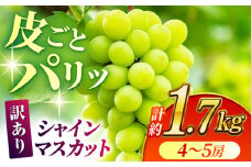 【訳あり】シャインマスカット 約1.7kg(4～5房)【合同会社 社方園】 [ZBZ031]