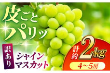 【数量限定】【訳あり】シャインマスカット 約2kg(4～5房)【合同会社 社方園】 [ZBZ032]