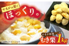 【先行予約】 むき栗 約1kg（約250g×4pc） 【すみれファーム】 [ZEP060]