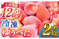 冷凍 いちご ゆうべに 約2kg【熊本ベリー】 [ZER014]