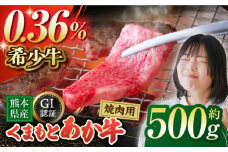 GI認証 くまもとあか牛 焼肉用 約500ｇ【山鹿市（桜屋）】 [ZBO055]