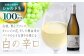 菊鹿シャルドネ白 辛口 ギフト ワイン 白ワイン 菊鹿ワイン 菊鹿ワイナリー お酒 辛口 国産 日本 熊本県 山鹿市