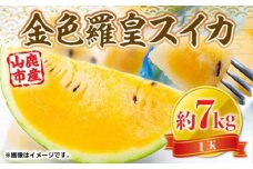 【数量限定】金色羅皇 スイカ 1玉 約7kg【くまふる】 [ZBG073]