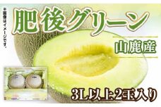 【数量限定】肥後 グリーン 3L 2玉入（計約2.4kg）【くまふる】 [ZBG074]
