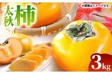【先行予約】【数量限定】太秋 柿 約3kg【くまふる】 [ZBG075]