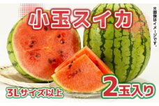 【数量限定】小玉 スイカ 3Lサイズ以上 2玉入り【くまふる】 [ZBG076]