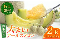 【数量限定】【先行予約】アールスメロン 約4kg〜5kg（4L〜5L）2玉入【道の駅 水辺プラザかもと】 [ZEG001]
