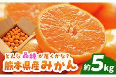 【先行予約】みかん 約5kg【道の駅 水辺プラザかもと】 [ZEG002]