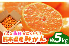 【先行予約】みかん 約5kg【道の駅 水辺プラザかもと】 [ZEG002]
