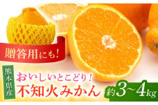 【先行予約】不知火 みかん 約3kg〜4kg 果物 化粧箱入り 贈答用【道の駅 水辺プラザかもと】 [ZEG003]