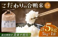合鴨米 5kg 【あいがもん倶楽部】 [ZAR026]