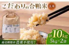 合鴨玄米 5kg×2 計10kg 【あいがもん倶楽部】 [ZAR029]