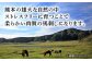 国産 馬刺し 赤身 熊本 ばさし バサシ 馬刺 冷凍 パック 小分け おつまみ 日本酒 や ワイン に合う 晩酌 ヘルシー