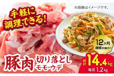 【12回定期便】豚肉切り落とし（モモ・ウデ部位指定なし）約1.2kg（約300g×4pc）【吉里精肉】 [ZEW086]