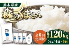 《 新米先行予約 》【全6回定期便】2025年10月より順次発送  森のくまさん 白米 20kg(5kg×4袋)【有限会社  農産ベストパートナー】 [ZBP123]