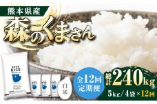 《 新米先行予約 》【全12回定期便】2025年10月より順次発送  森のくまさん 白米 20kg(5kg×4袋)【有限会社  農産ベストパートナー】 [ZBP124]