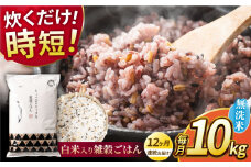 【全12回定期便】水研ぎ不要 雑穀ごはん 無洗米 10kg 【株式会社 農産ベストパートナー】 [ZBP152]