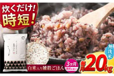 【全3回定期便】水研ぎ不要 雑穀ごはん 無洗米 20kg 【株式会社 農産ベストパートナー】 [ZBP154]