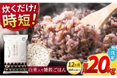 【全12回定期便】水研ぎ不要 雑穀ごはん 無洗米 20kg 【株式会社 農産ベストパートナー】 [ZBP156]