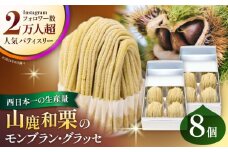 山鹿和栗のモンブラン・グラッセ 4個セット×2 計8個 【株式会社パストラル】 [ZAR007]
