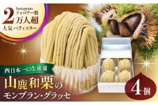 山鹿和栗のモンブラン・グラッセ 4個セット 【株式会社パストラル】 [ZAR006]